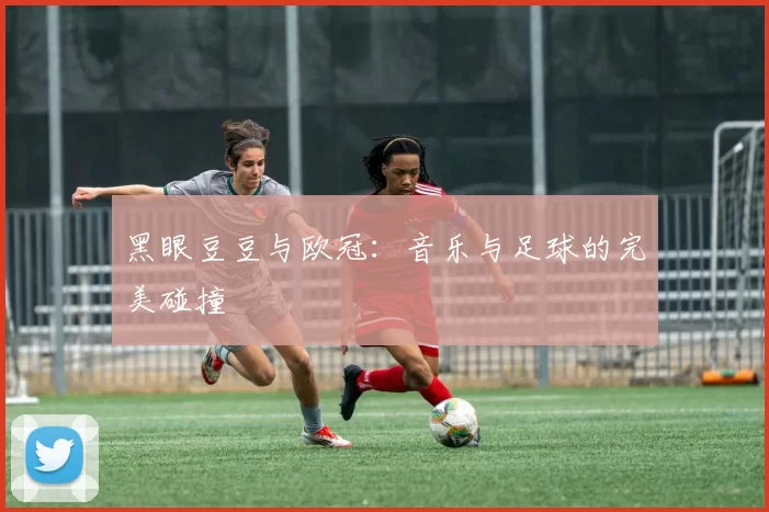 黑眼豆豆与欧冠：音乐与足球的完美碰撞