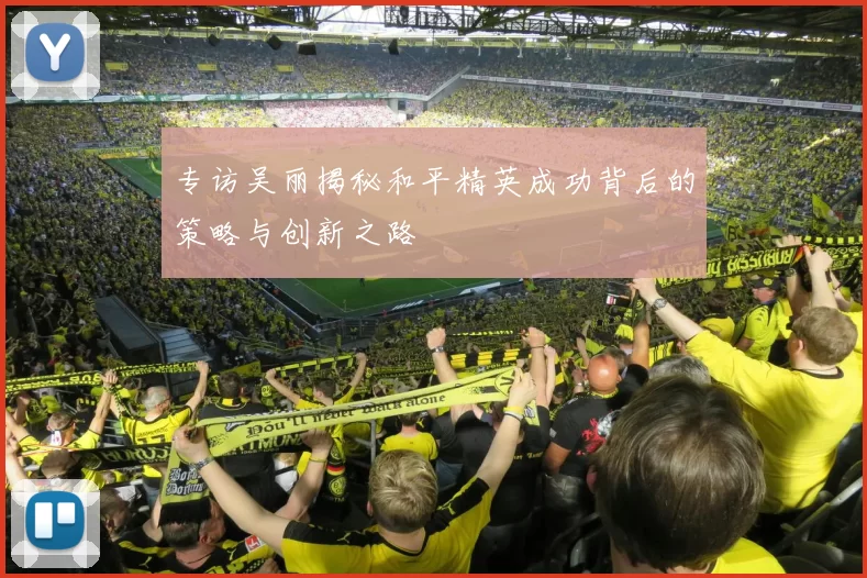 专访吴丽揭秘和平精英成功背后的策略与创新之路