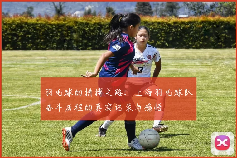 羽毛球的拼搏之路：上海羽毛球队奋斗历程的真实记录与感悟