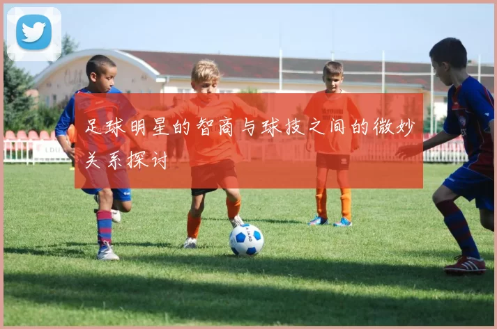 足球明星的智商与球技之间的微妙关系探讨
