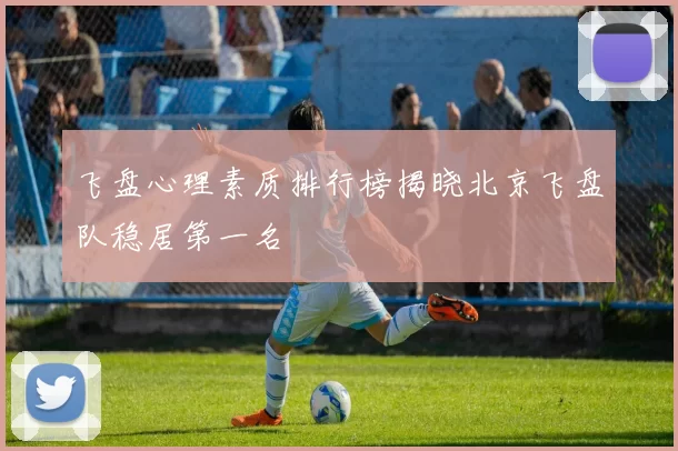 飞盘心理素质排行榜揭晓北京飞盘队稳居第一名