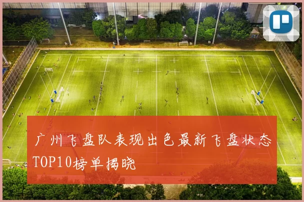 广州飞盘队表现出色最新飞盘状态TOP10榜单揭晓