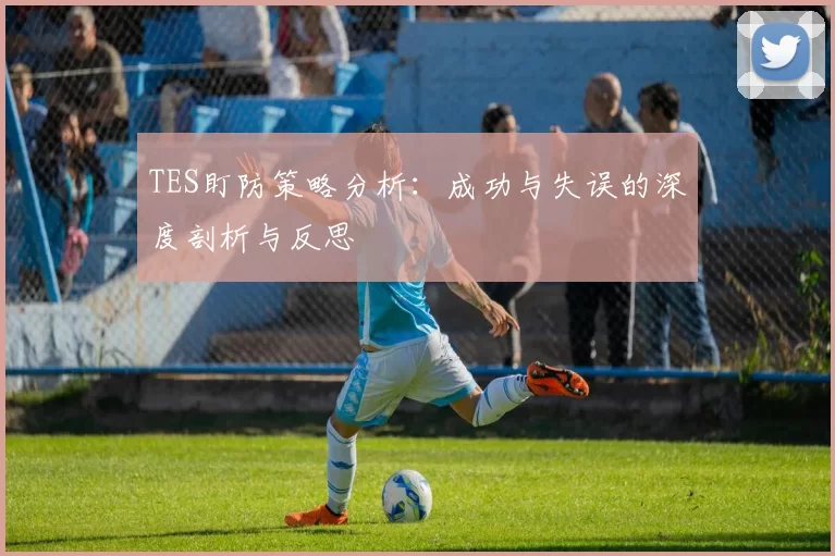 TES盯防策略分析：成功与失误的深度剖析与反思
