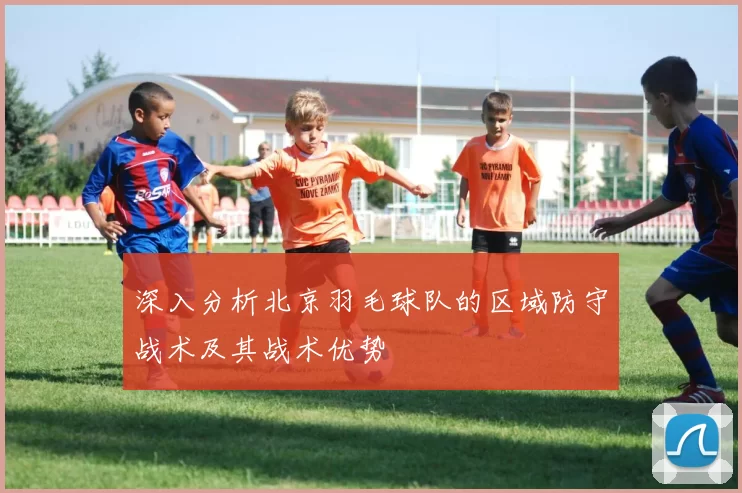 深入分析北京羽毛球队的区域防守战术及其战术优势