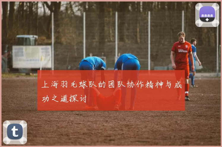 上海羽毛球队的团队协作精神与成功之道探讨