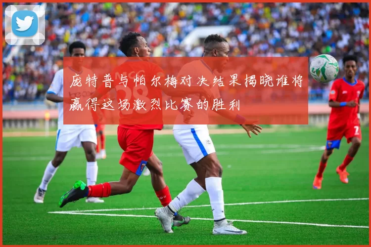 庞特普与帕尔梅对决结果揭晓谁将赢得这场激烈比赛的胜利