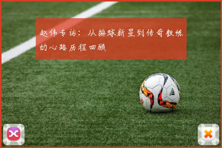 赵伟专访：从排球新星到传奇教练的心路历程回顾