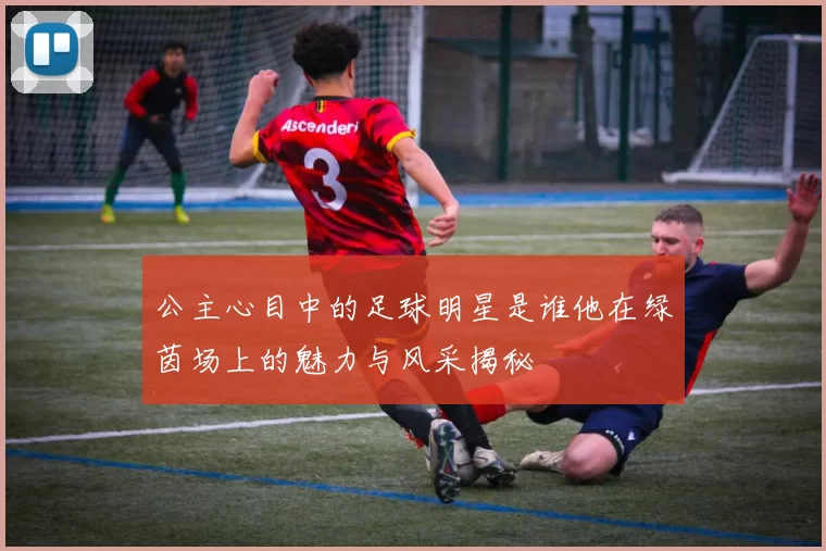 公主心目中的足球明星是谁他在绿茵场上的魅力与风采揭秘