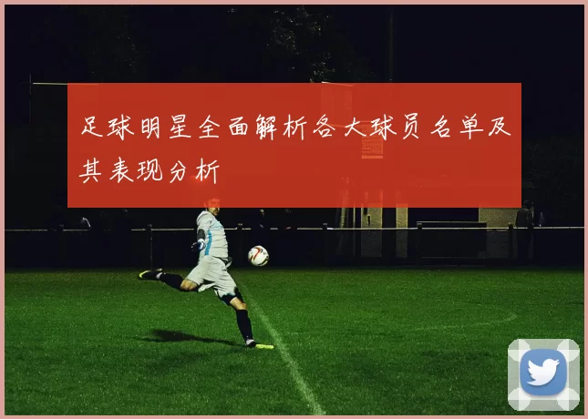 足球明星全面解析各大球员名单及其表现分析