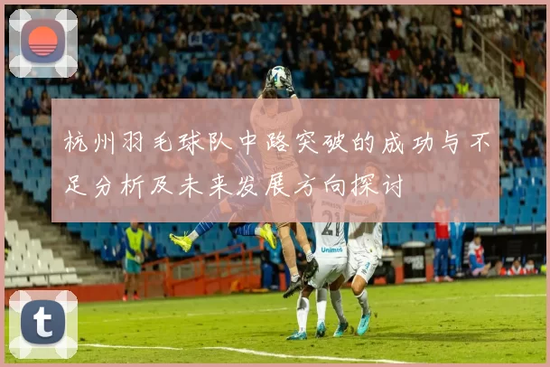 杭州羽毛球队中路突破的成功与不足分析及未来发展方向探讨