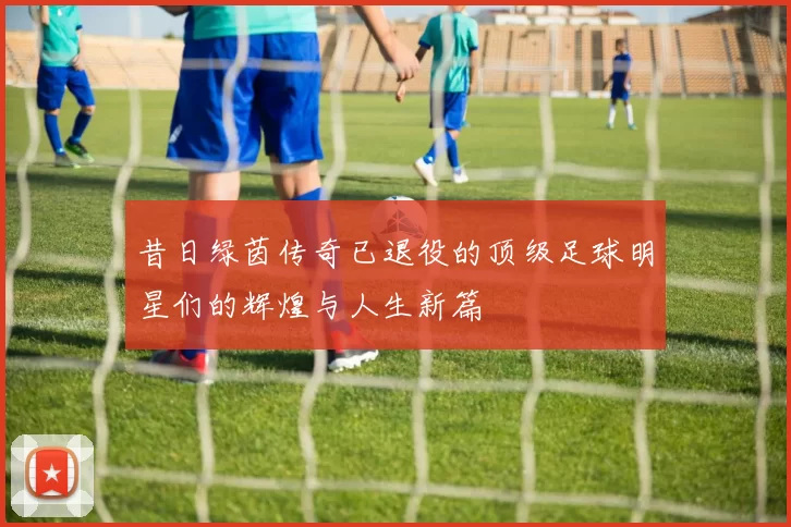 昔日绿茵传奇已退役的顶级足球明星们的辉煌与人生新篇