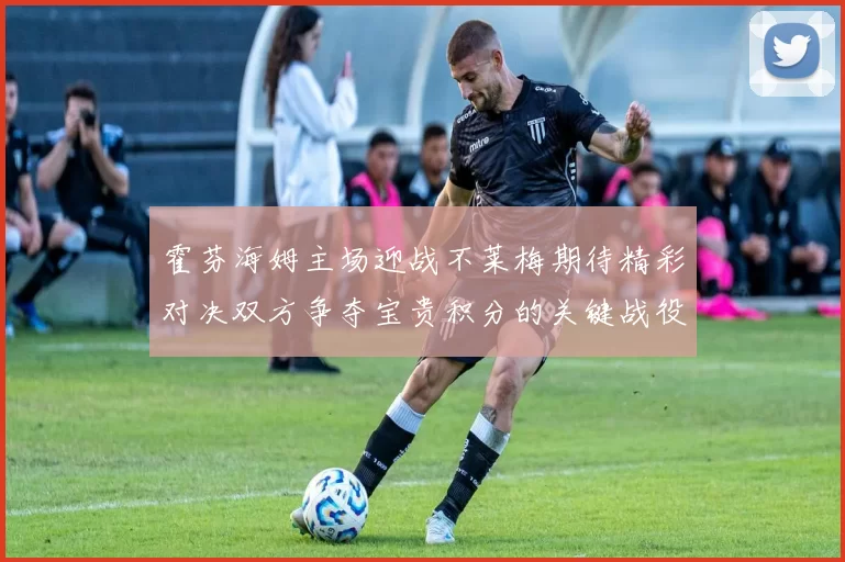 霍芬海姆主场迎战不莱梅期待精彩对决双方争夺宝贵积分的关键战役