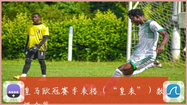 皇马欧冠赛季表格（“皇表”）数据全览