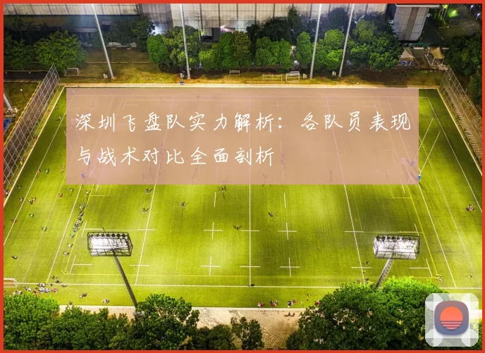 深圳飞盘队实力解析：各队员表现与战术对比全面剖析