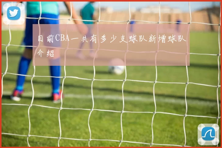 目前CBA一共有多少支球队新增球队介绍