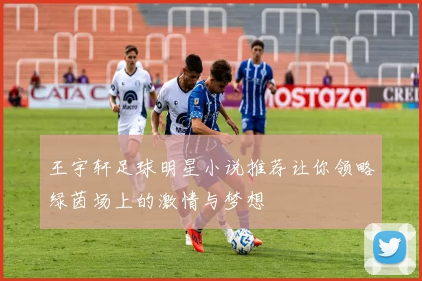 王宇轩足球明星小说推荐让你领略绿茵场上的激情与梦想