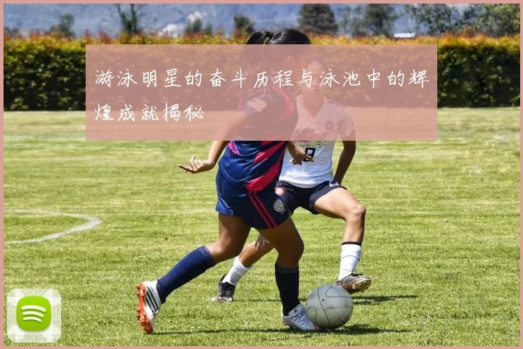 游泳明星的奋斗历程与泳池中的辉煌成就揭秘