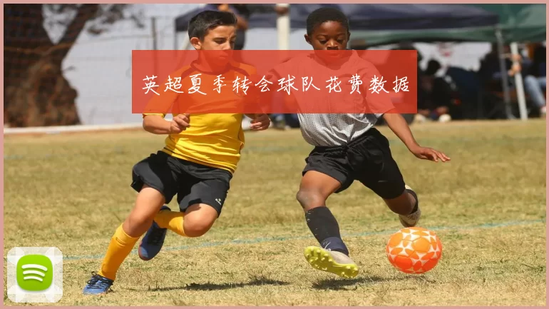英超夏季转会球队花费数据