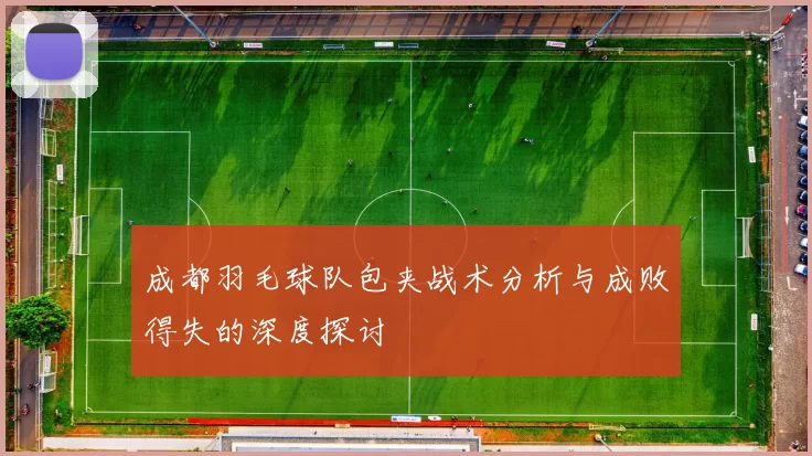 成都羽毛球队包夹战术分析与成败得失的深度探讨